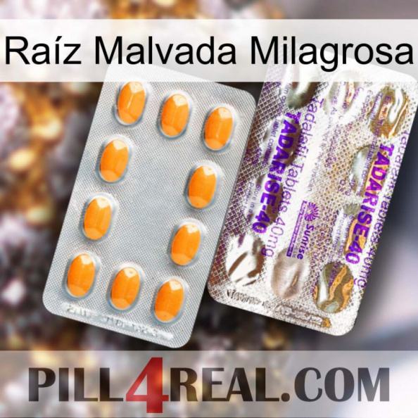 Raíz Malvada Milagrosa new12.jpg